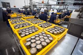 Fish Canning Firms